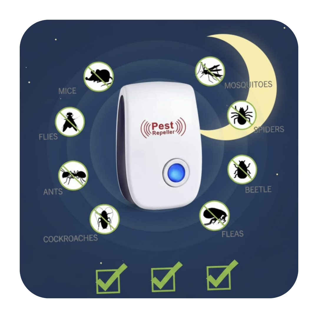 Untitled design (12)